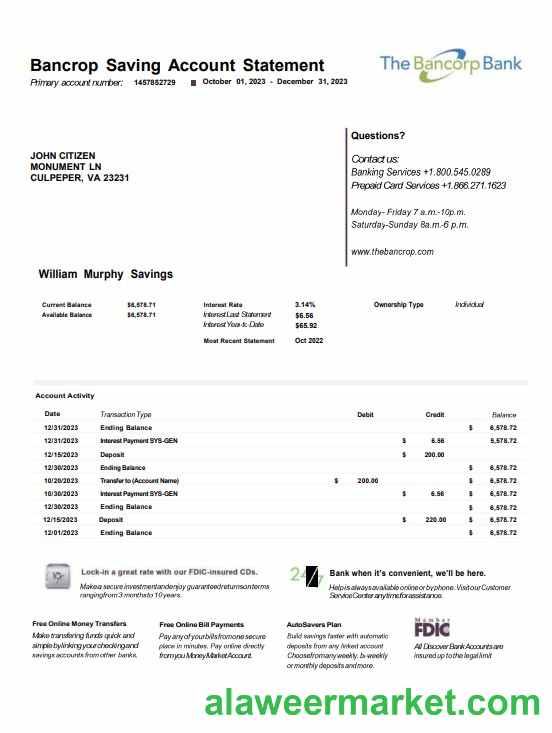 USA Bancorp bank statement Word and PDF template